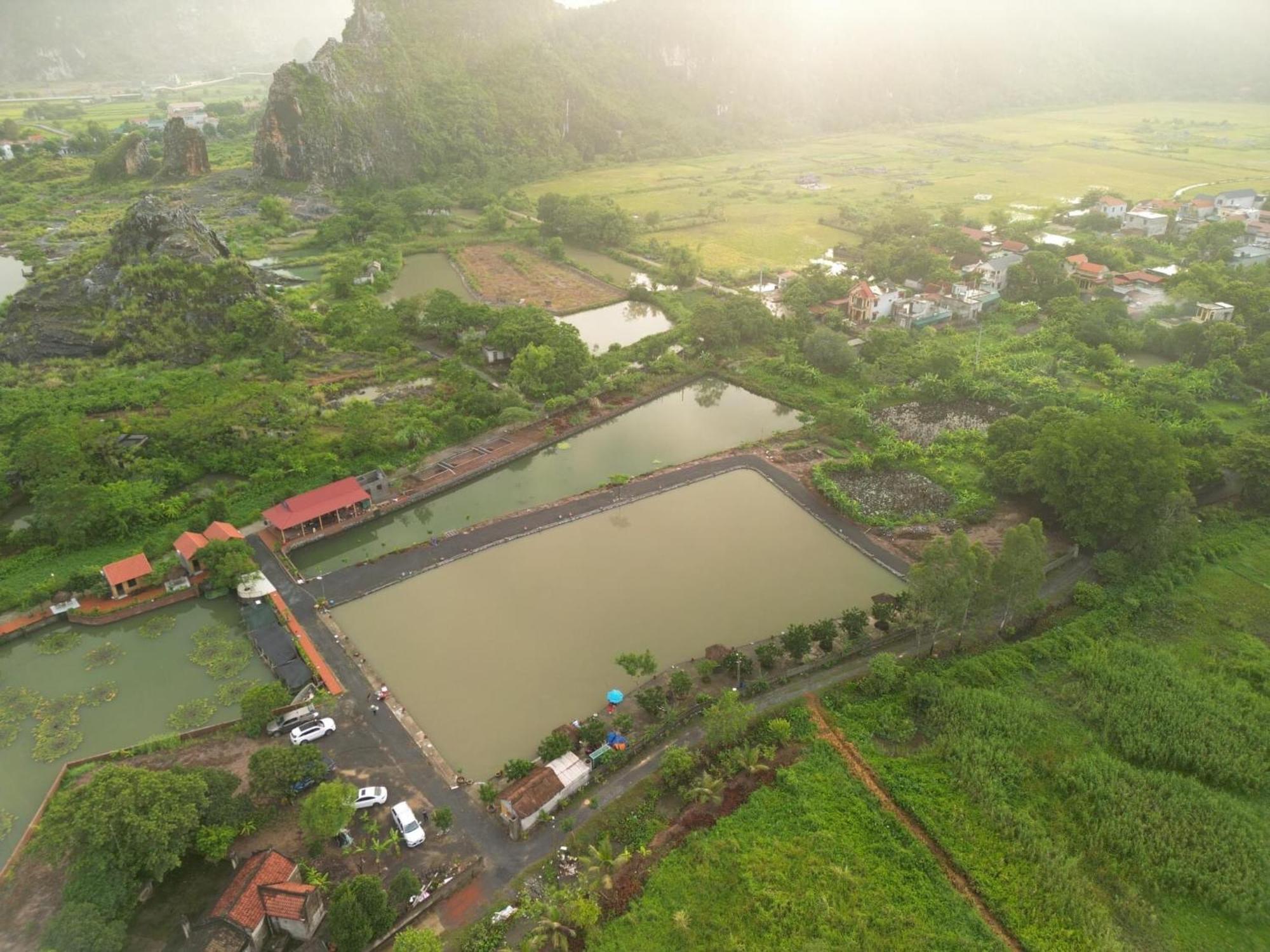 Tam Coc Cat Luong Homestay Ninh Binh Buitenkant foto