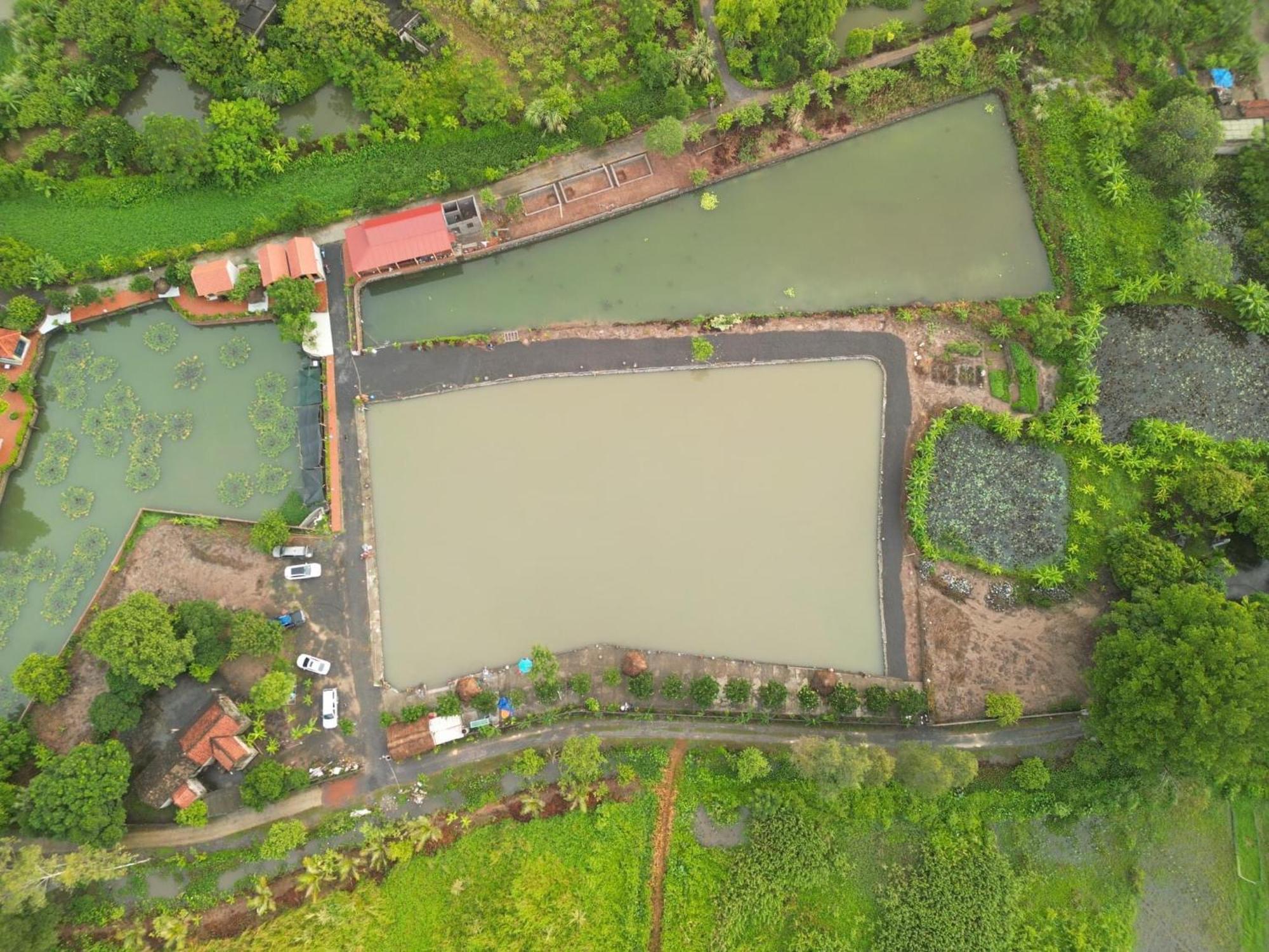 Tam Coc Cat Luong Homestay Ninh Binh Buitenkant foto
